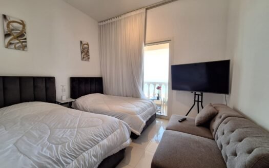 2 Bedroom Fully Furnished | Upgraded | Sea View